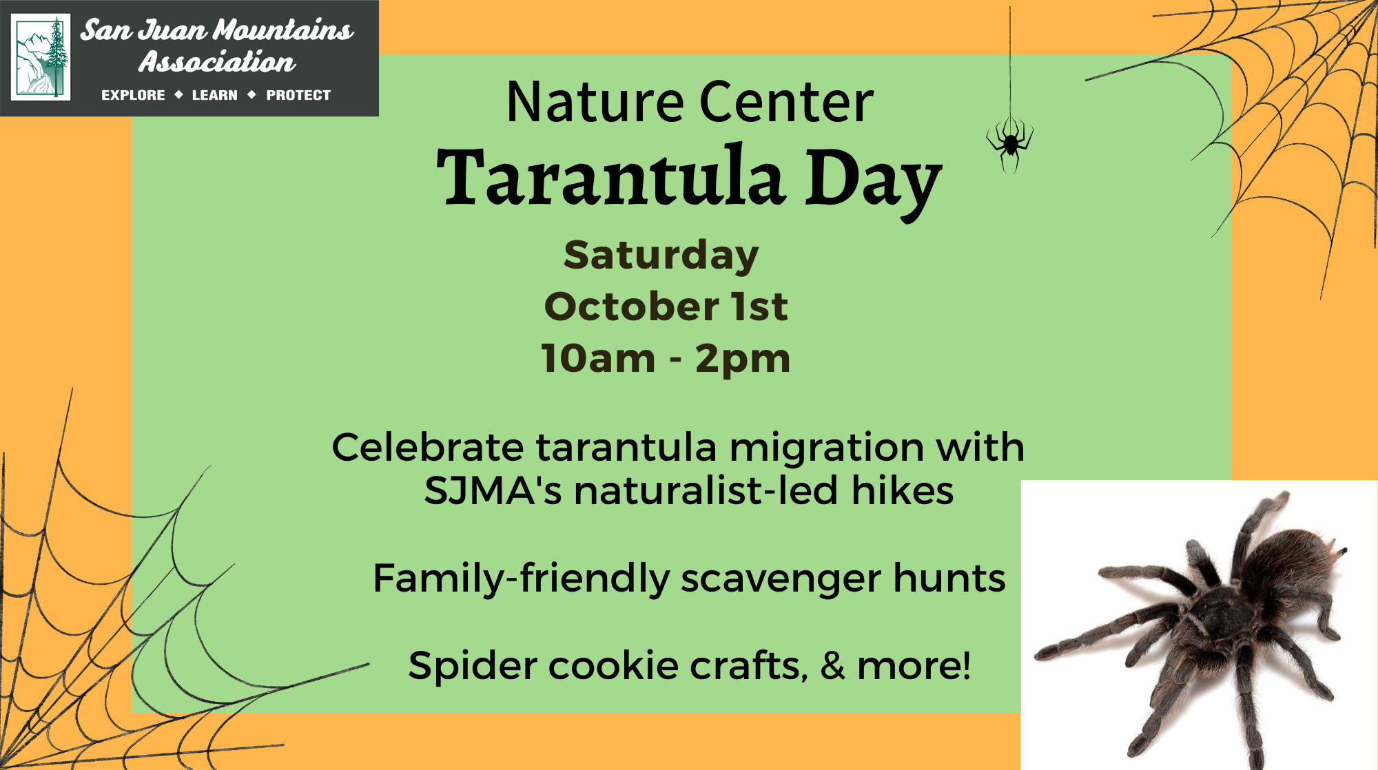 Tarantula Day at the Nature Center - SJMA