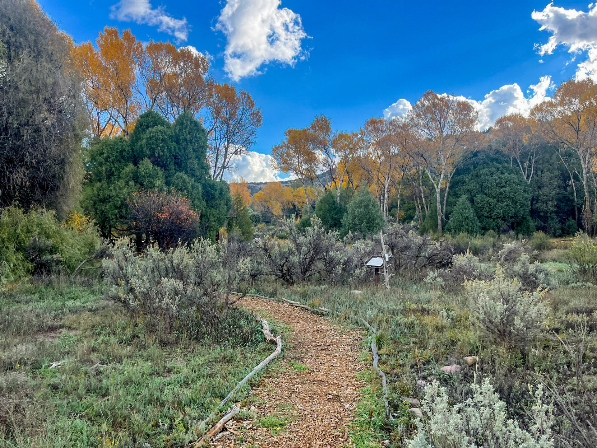 Interpretive Trails