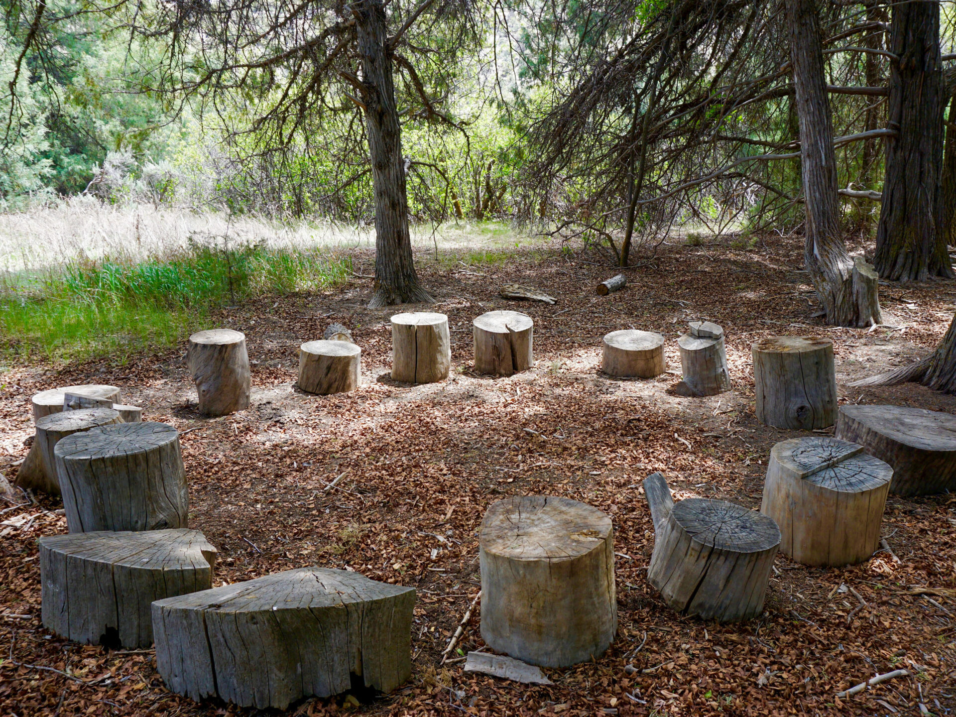 Place to Picnic