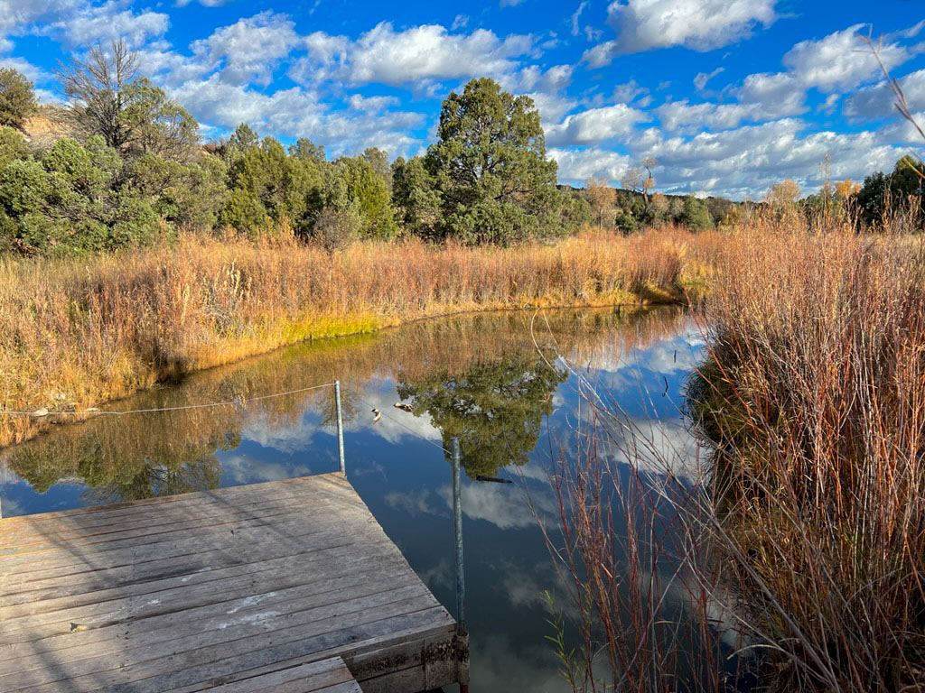 Pond